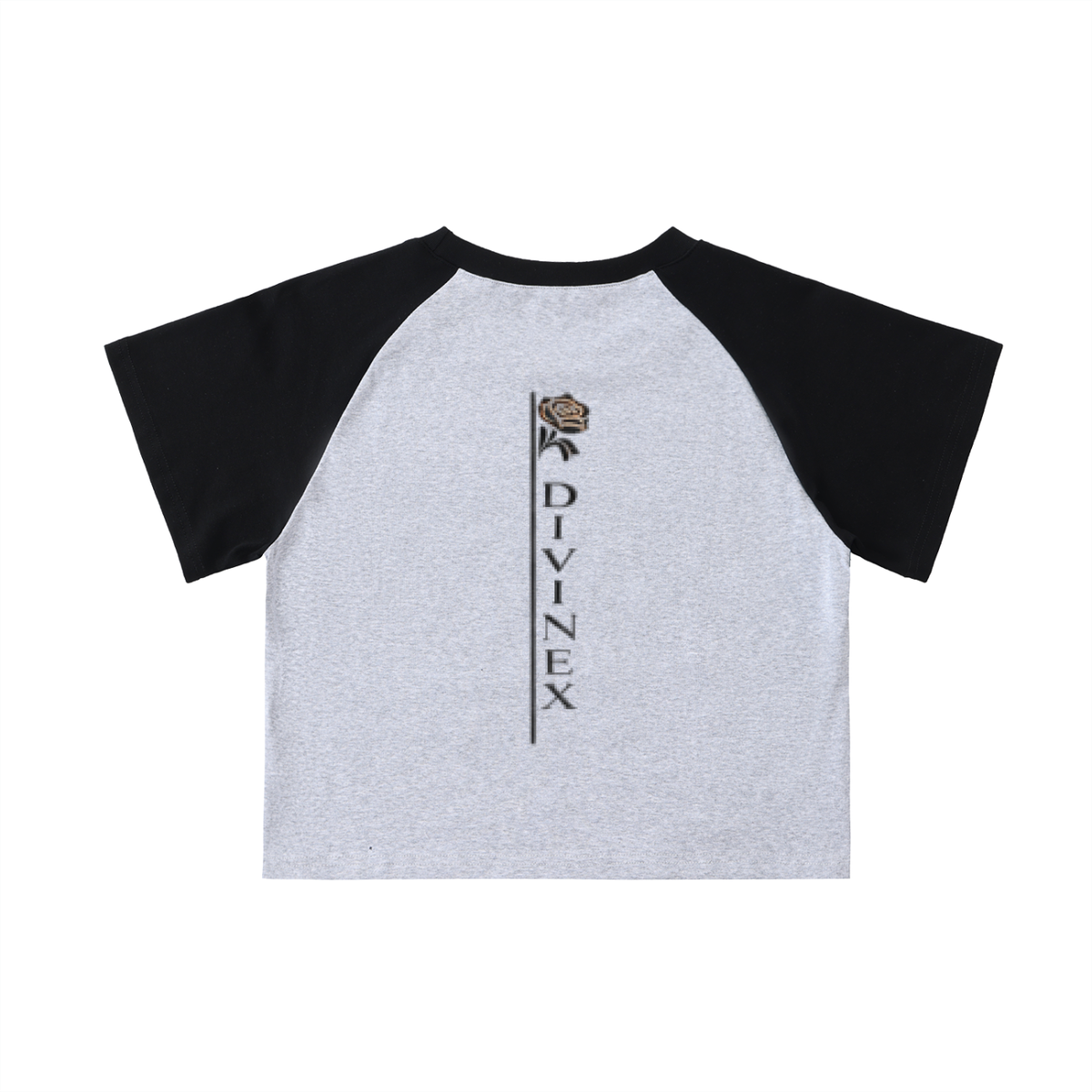 DivineX Spine Logo Raglan