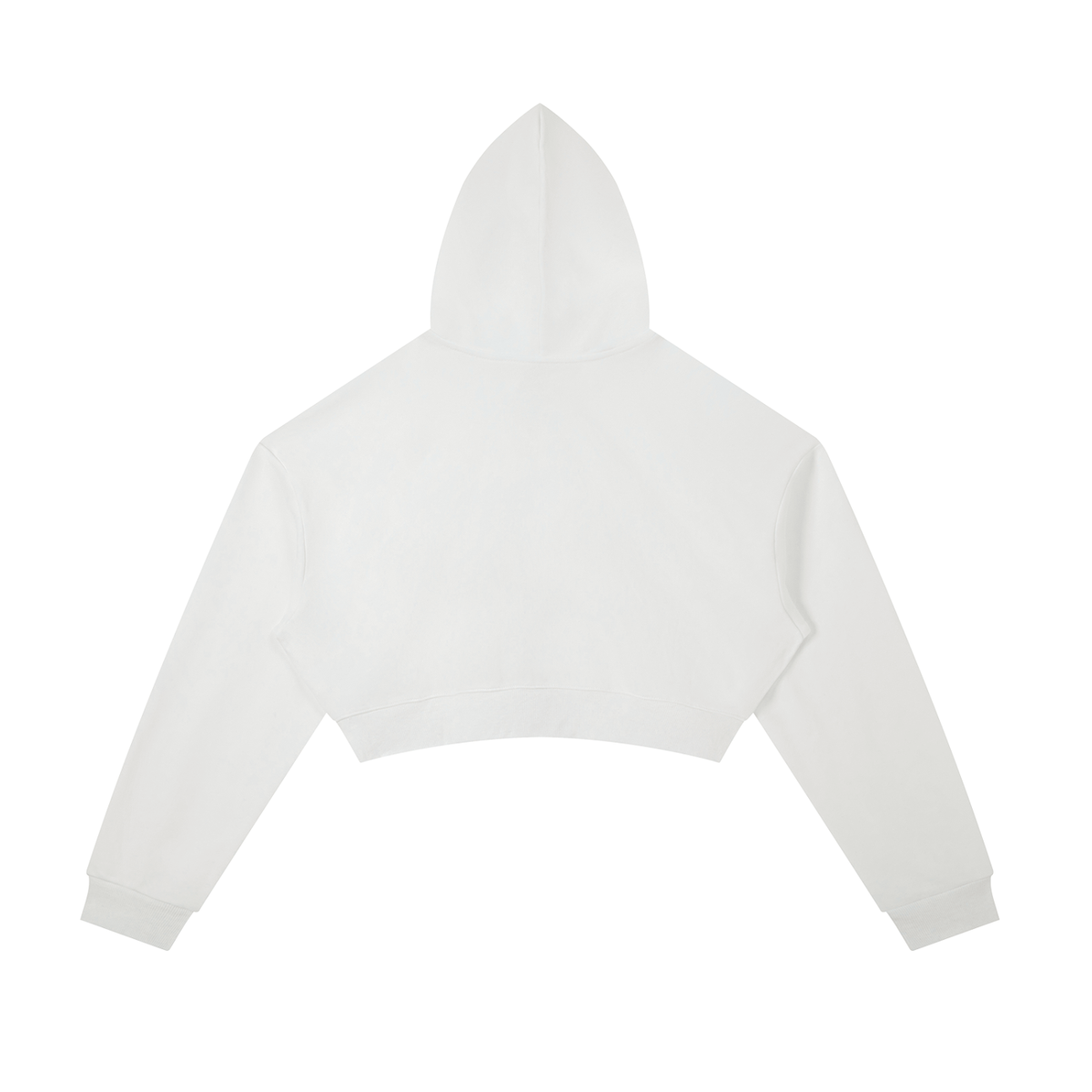 DivineX Ascend Zip Crop Hoodie