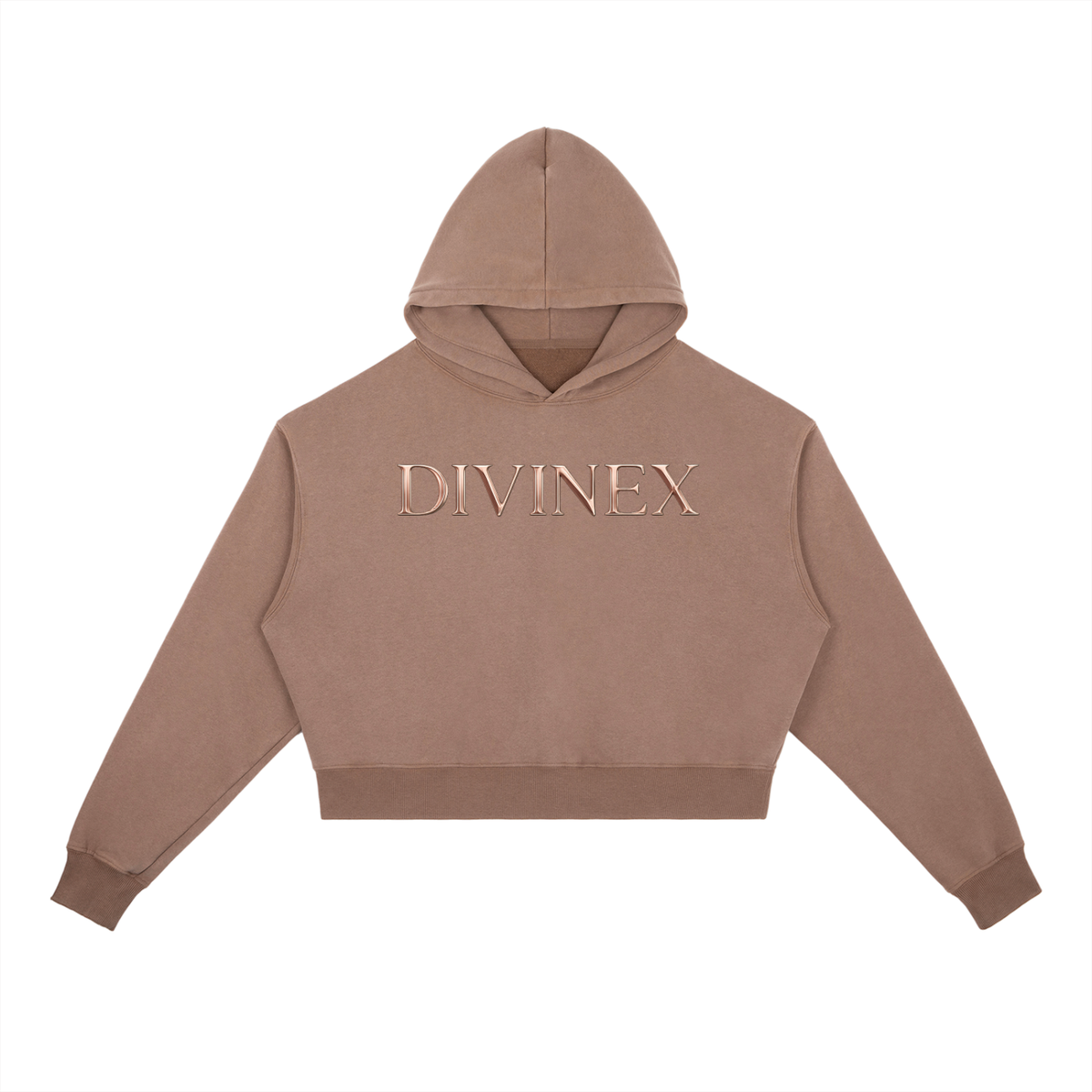 Vintage DivineX Luxe Hoodie