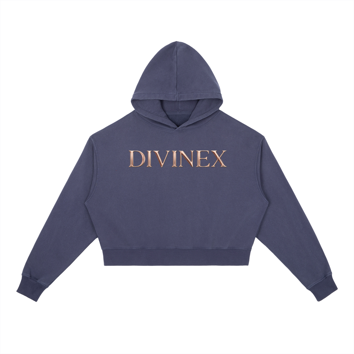 Vintage DivineX Luxe Hoodie
