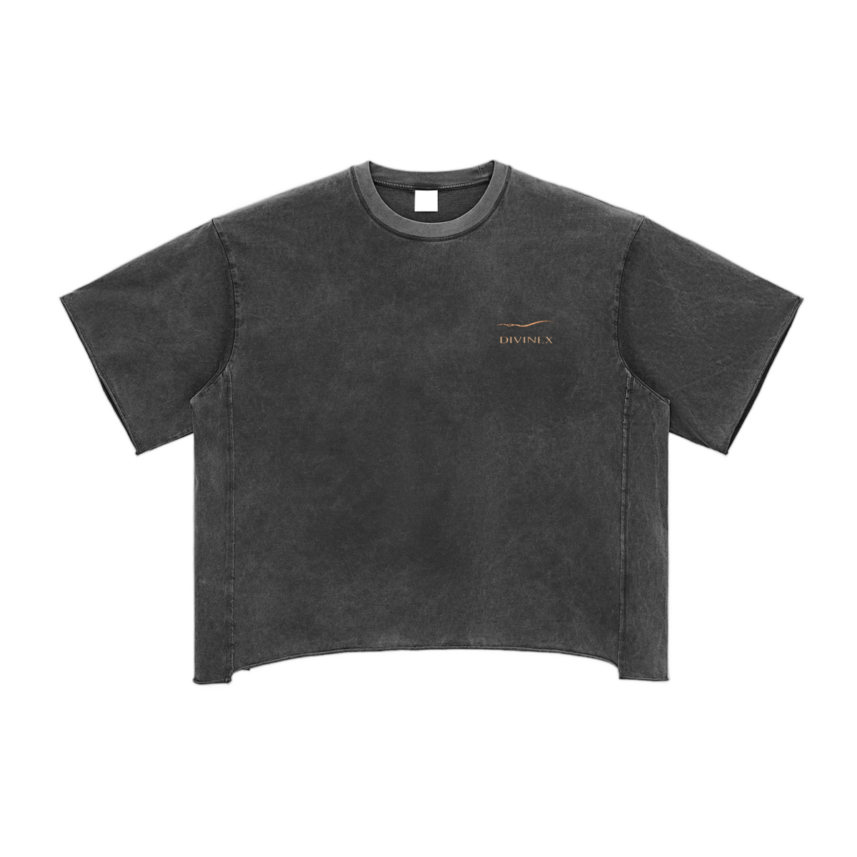 DivineX RawMuse Boxy Tee
