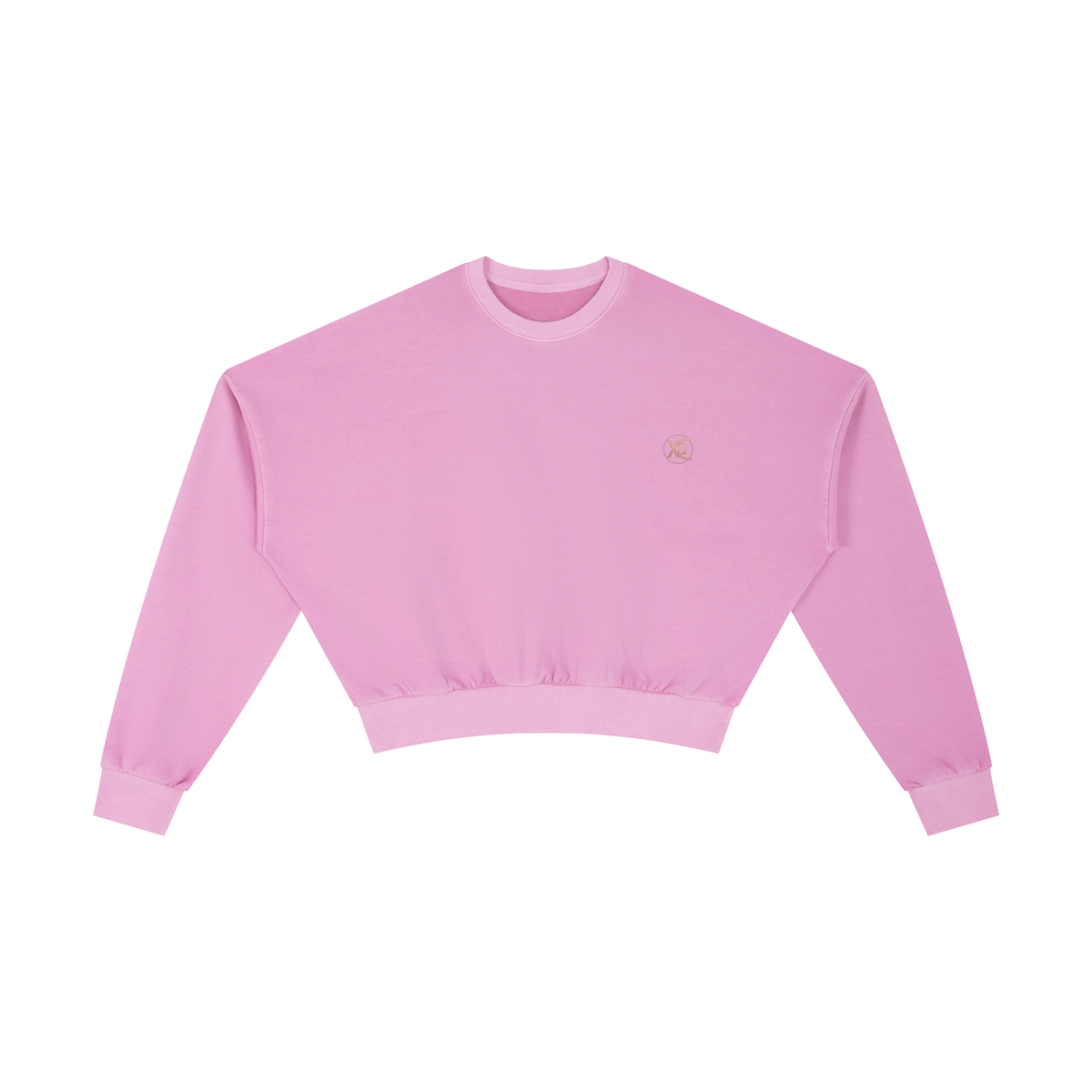 DivineX Vintage Crop Sweat