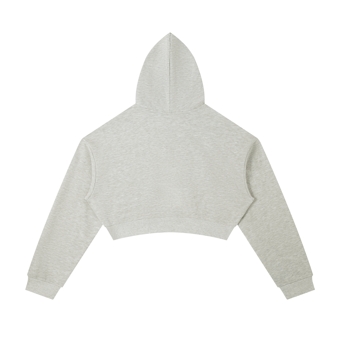 DivineX Ascend Zip Crop Hoodie