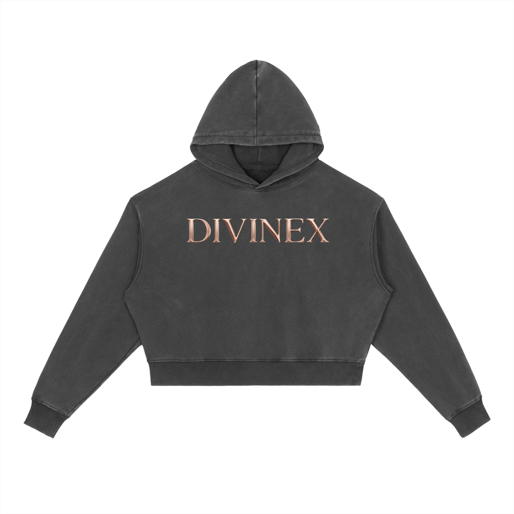 Vintage DivineX Luxe Hoodie