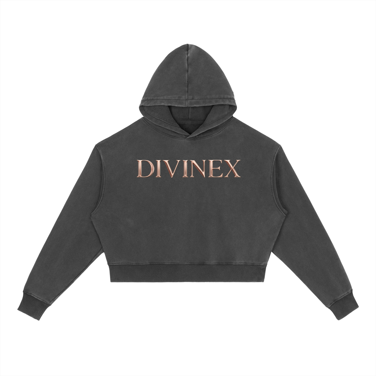 Vintage DivineX Luxe Hoodie