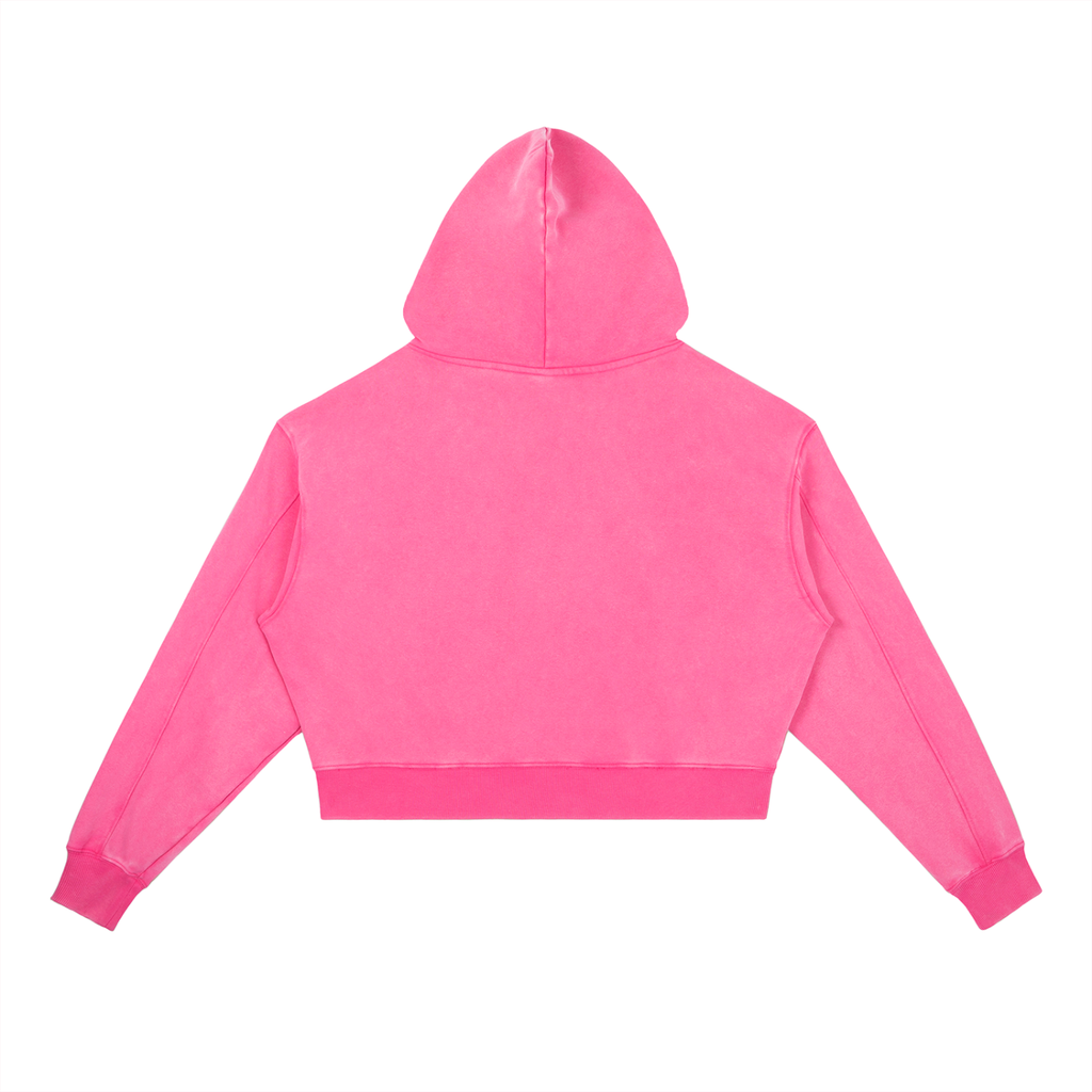 Vintage DivineX Luxe Hoodie